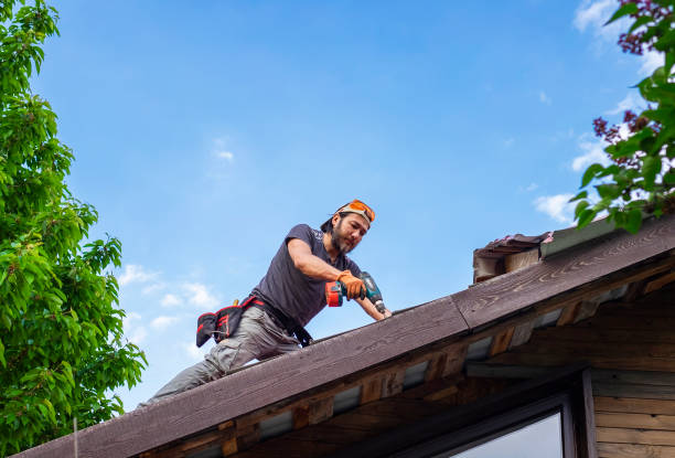 Best Roof Installation  in Campbell, FL