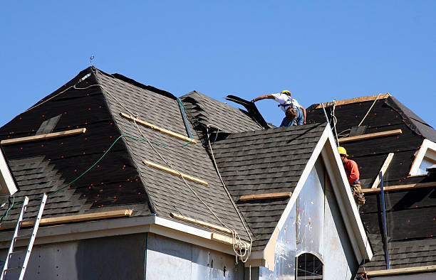 Best Roof Insulation Installation  in Campbell, FL